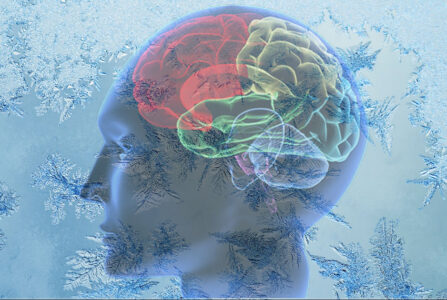 Замороженное воспоминание