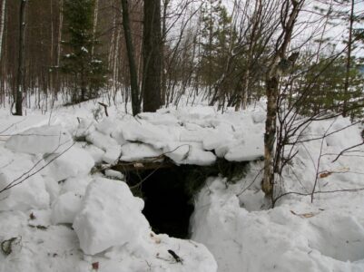 Берлога (Почти шорт 10)