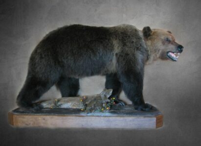 Прерывистость сюжетной линии в рассказе