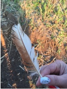 09. Однажды мы проведём наше время. Дома.