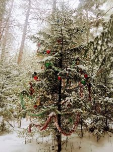 11. Однажды мы проведём наше время. #Декабрь