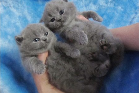 Мягкие и тёплые