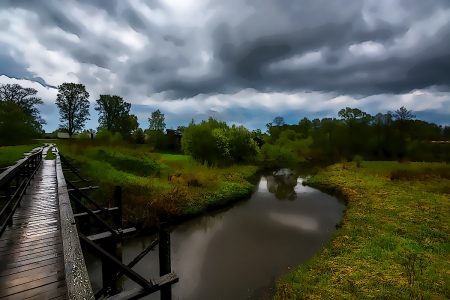 После дождя