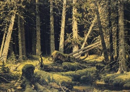 Кондрашкино озеро