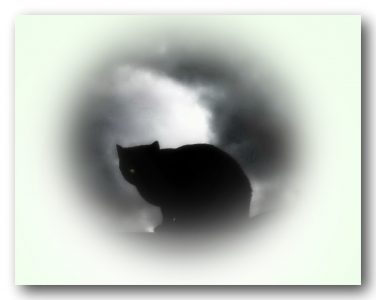 Чёрный демон