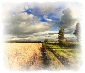 В ожидании осени