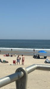 IMG_8643.jpeg