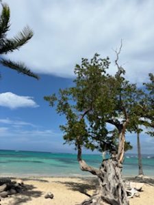 Jamaica