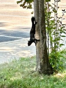 IMG_9612.jpeg