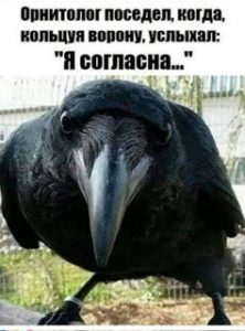 IMG_9756.jpeg