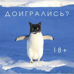 IMG_9789.jpeg