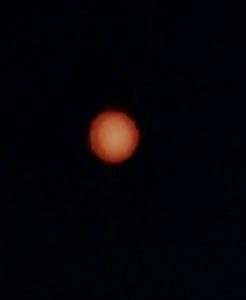 IMG_9883.jpeg