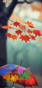 Проходят дни
