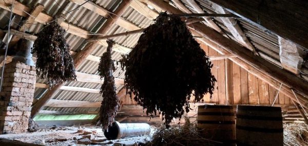 День рождения